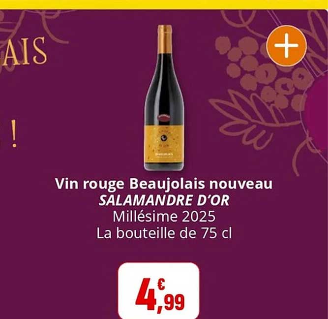 Vin rouge Beaujolais nouveau SALAMANDRE D'OR
