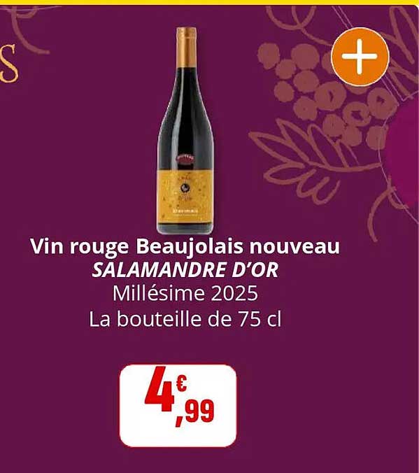Vin rouge Beaujolais nouveau SALAMANDRE D'OR