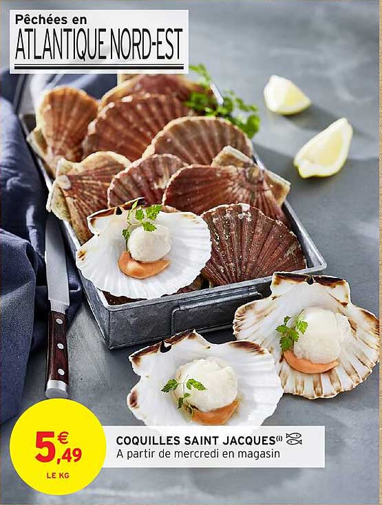 COQUILLES SAINT JACQUES