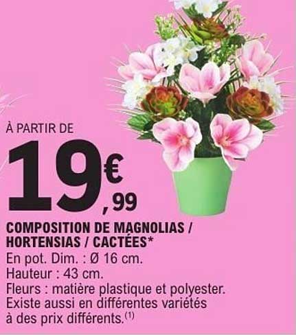 COMPOSITION DE MAGNOLIAS / HORTENSIAS / CACTEES
