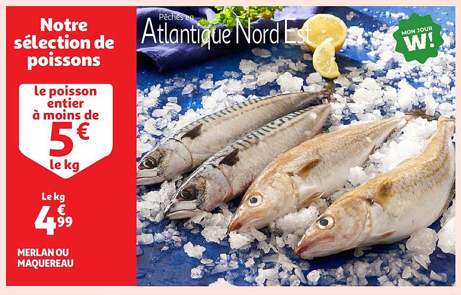 Notre sélection de poissons