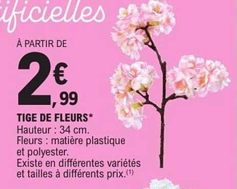 TIGE DE FLEURS