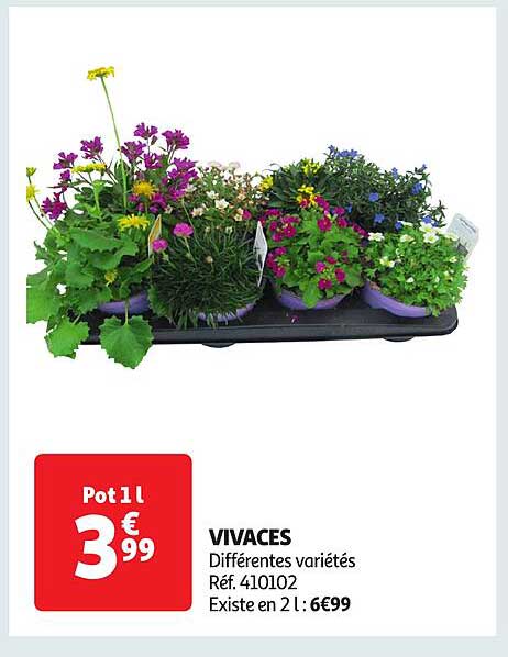 VIVACES
