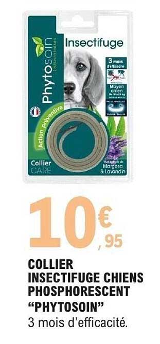 COLLIER INSECTIFUGE CHIENS PHOSPHORESCENT “PHYTOSOIN”