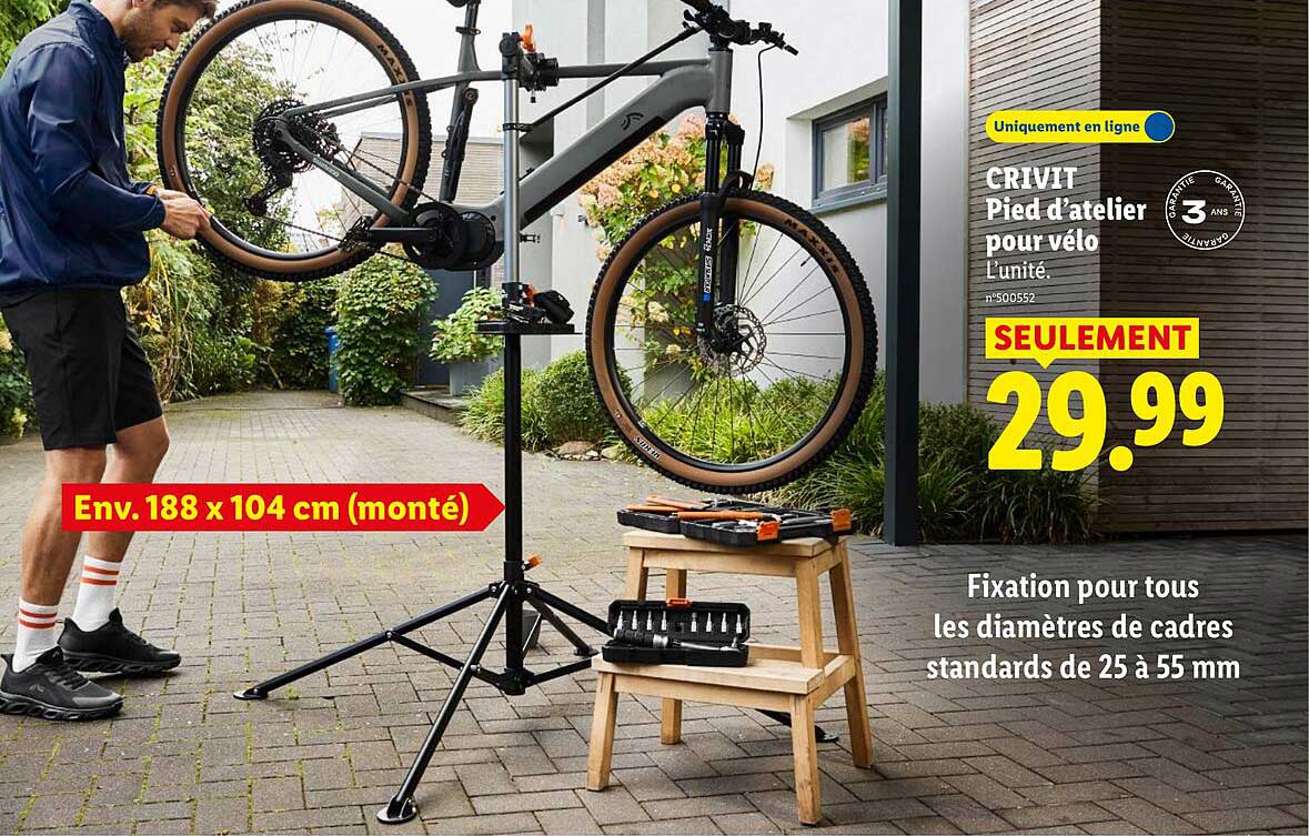 Pied D Atelier Lidl