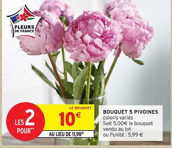 BOUQUET 5 PIVOINES