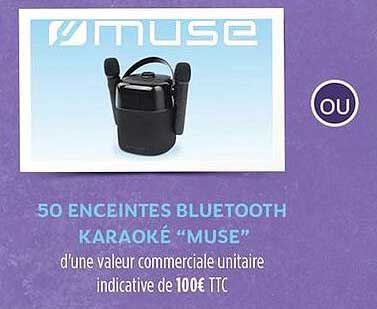 50 ENCEINTES BLUETOOTH KARAOKÉ “MUSE”