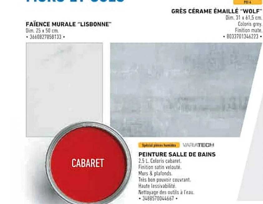 PEINTURE SALLE DE BAINS