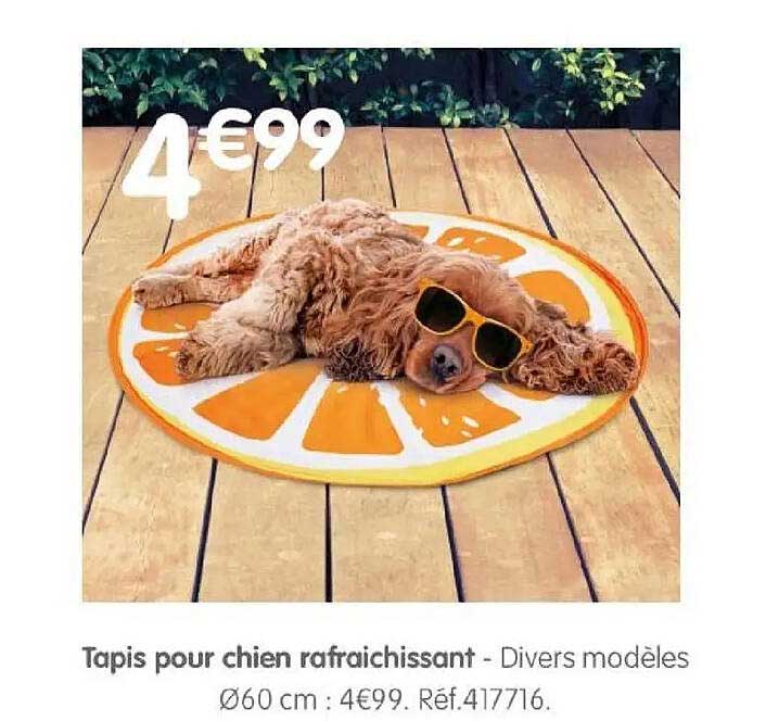 Tapis pour chien rafraichissant - Divers modèles Ø60 cm : 4€99. Réf.417716.