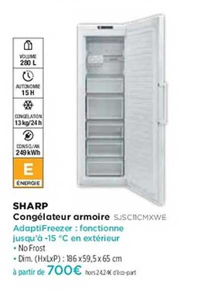 Congélateur armoire SHARP SJSC1CMXWE