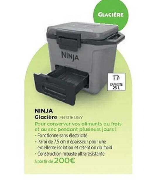 NINJA Glacière FB131EUGY