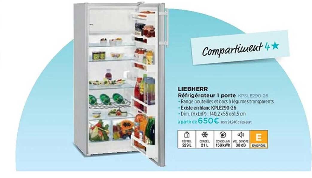 Réfrigérateur 1 porte KPSLE290-26