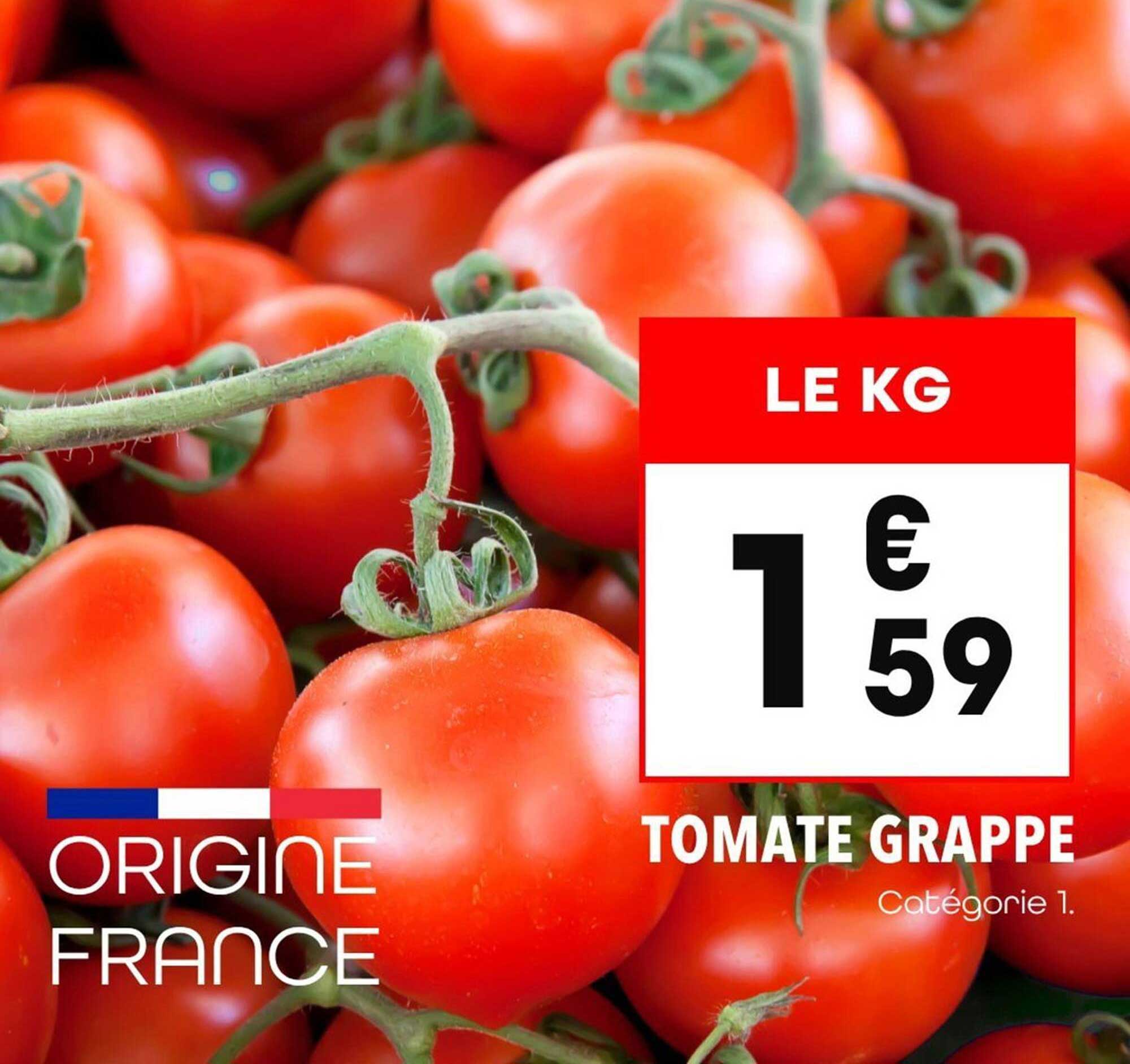 TOMATE GRAPPE