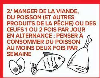 2/ MANGER DE LA VIANDE, DU POISSON (ET AUTRES PRODUITS DE LA PÊCHE) OU DES ŒUFS 1 OU 2 FOIS PAR JOUR EN ALTERNANCE ; PENSER À CONSOMMER DU POISSON AU MOINS DEUX FOIS PAR SEMAINE