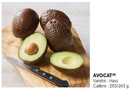 AVOCAT (8)
