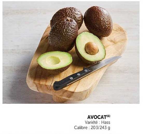 AVOCAT(5)