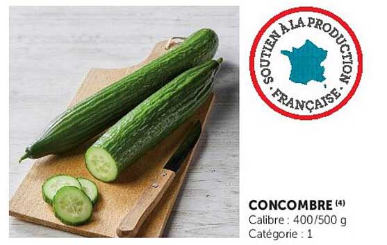 CONCOMBRE (4)