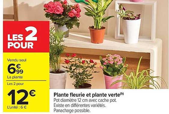 LES 2 POUR