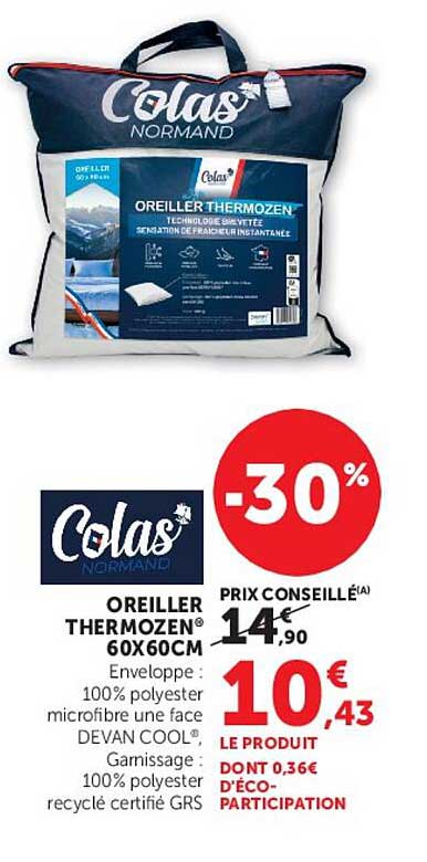 OREILLER THERMOZEN® 60X60CM