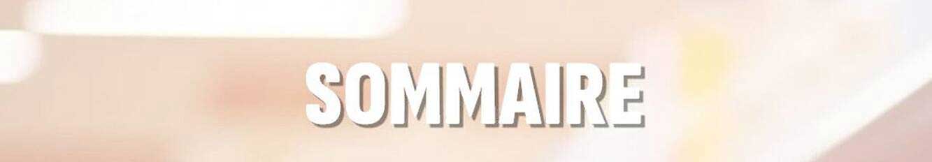 SOMMAIRE