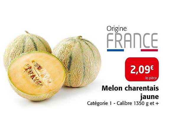 Melon charentais jaune