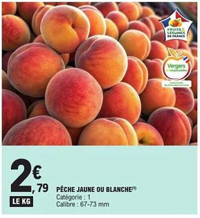 PÊCHE JAUNE OU BLANCHE