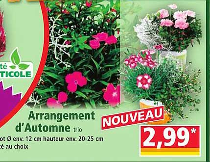 Arrangement d'Automne trio