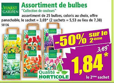 Assortiment de bulbes "Collection de couleurs"