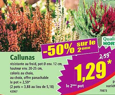Callunas