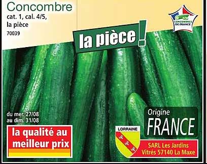 Concombre cat. 1, cal. 4/5, la pièce
