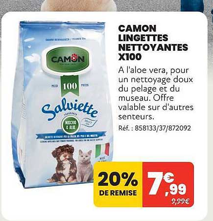 CAMON LINGETTES NETTOYANTES X100