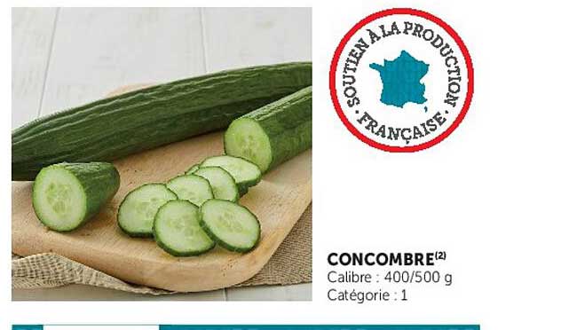 CONCOMBRE(2)
