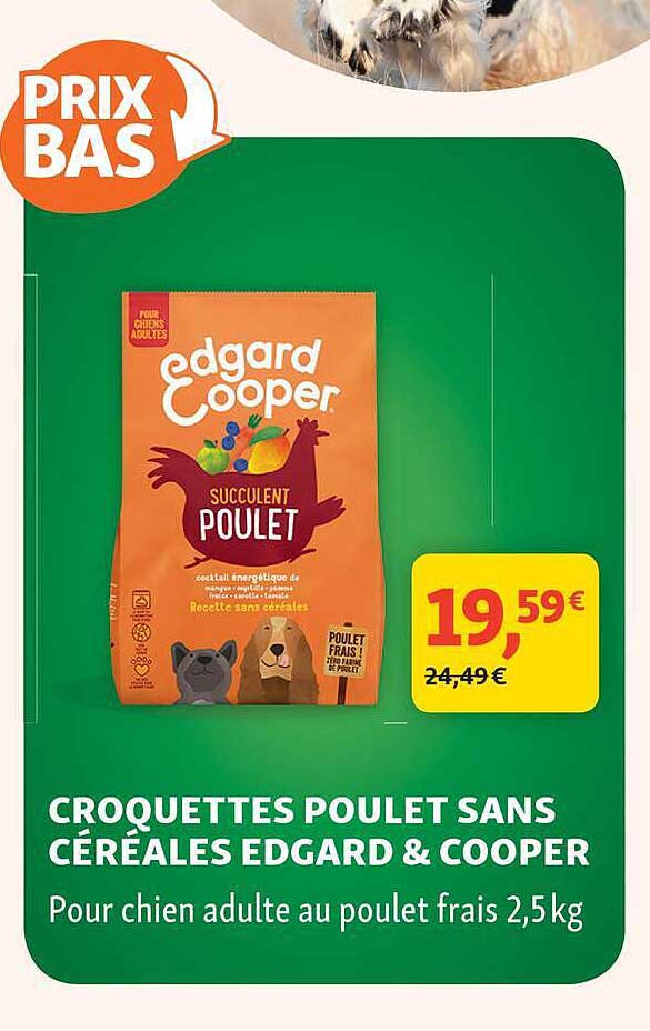 CROQUETTES POULET SANS CÉRÉALES EDGARD & COOPER