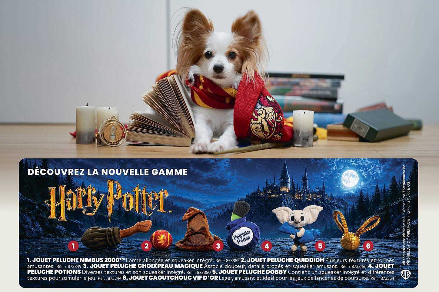 DÉCOUVREZ LA NOUVELLE GAMME Harry Potter