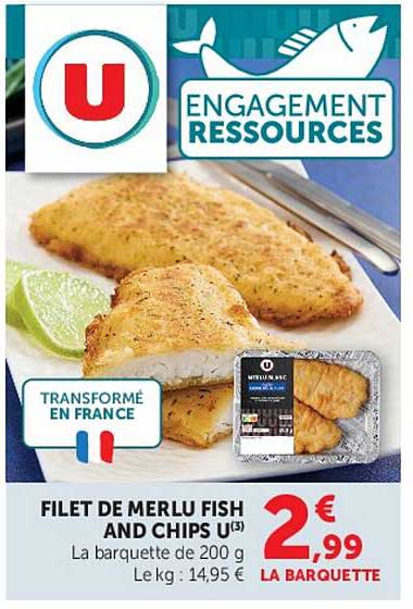 FILET DE MERLU FISH AND CHIPS U(3)