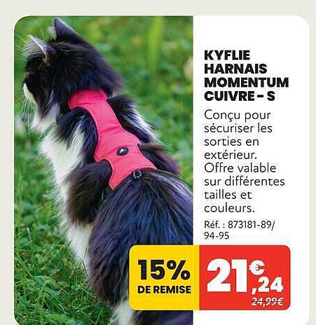 KYFLIE HARNAIS MOMENTUM CUIVRE – S