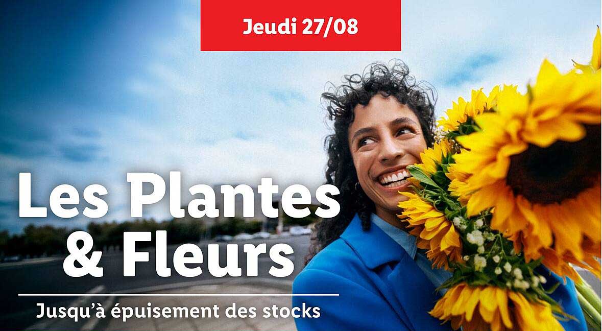 Les Plantes & Fleurs