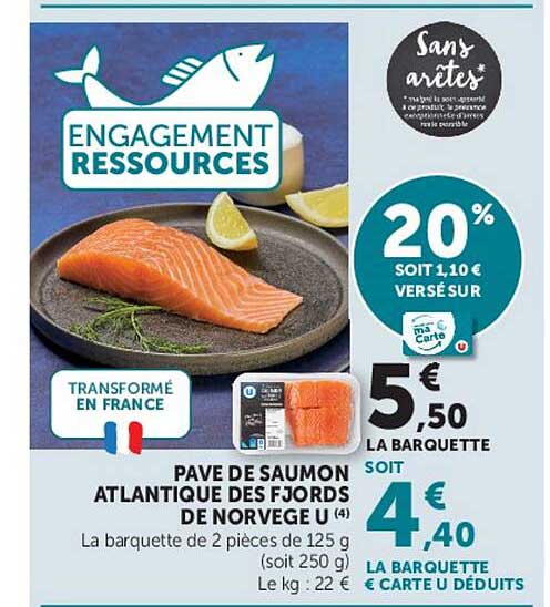 PAVE DE SAUMON ATLANTIQUE DES FJORDS DE NORVEGE U (4)