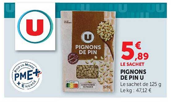 PIGNONS DE PIN U