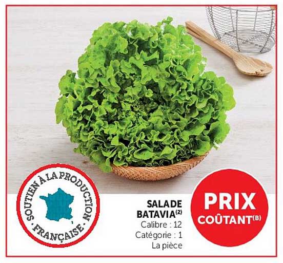 SALADE BATAVIA