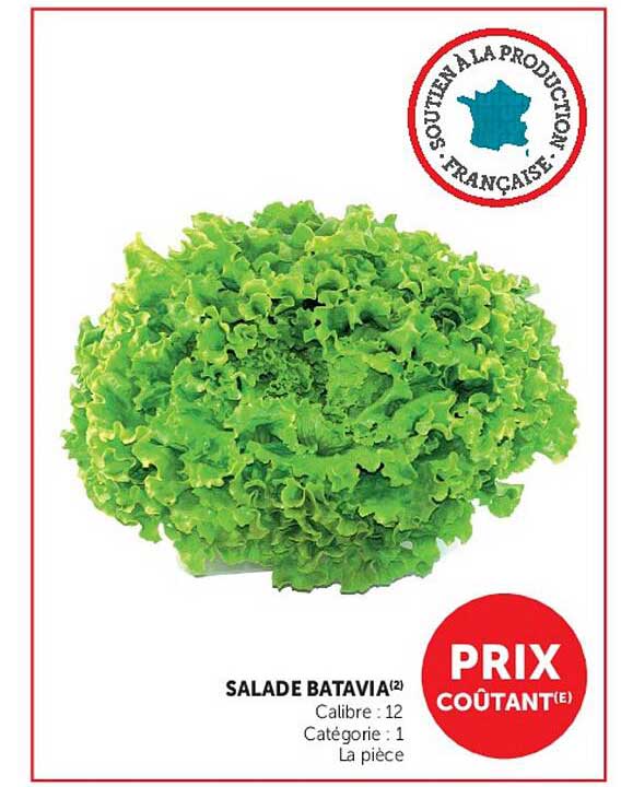 SALADE BATAVIA(2)