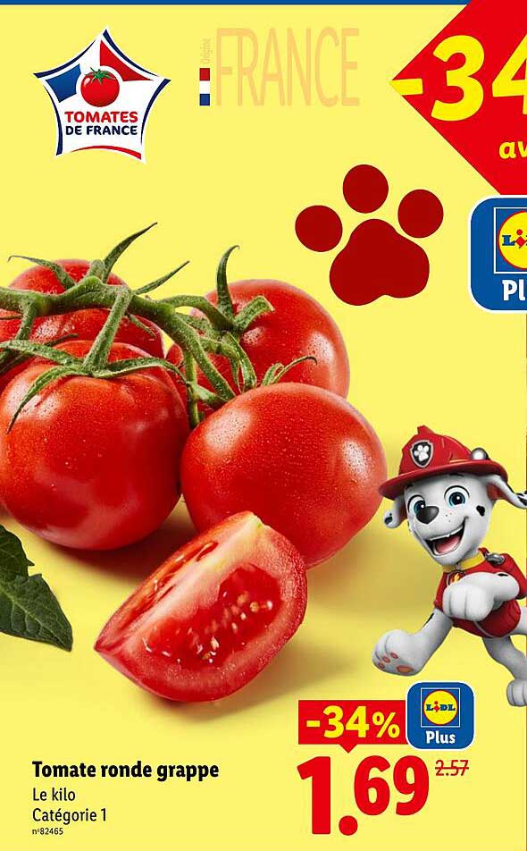 Tomate ronde grappe
