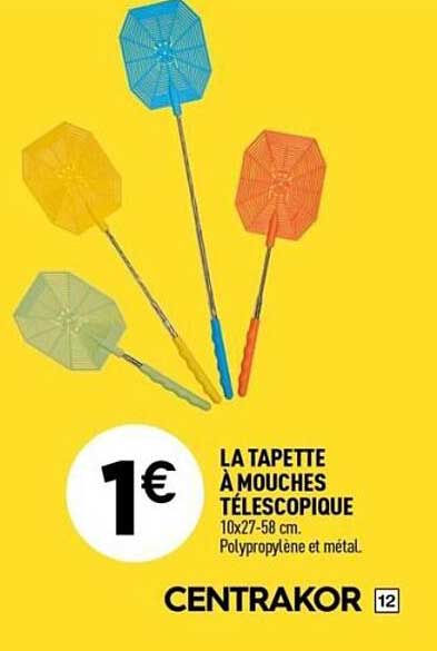 LA TAPETTE À MOUCHES TÉLESCOPIQUE