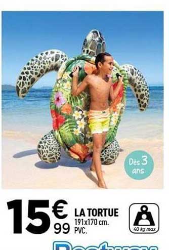 LA TORTUE