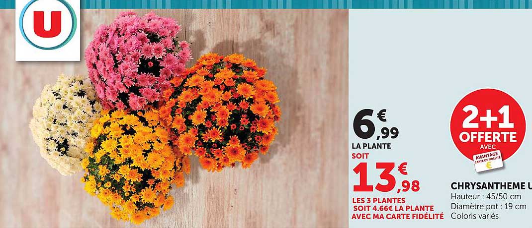 2+1 OFFERTE