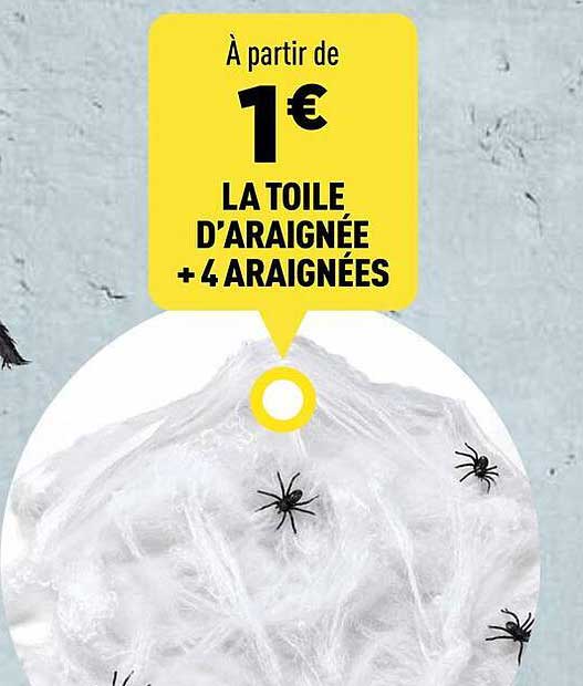 À partir de 1€ LA TOILE D’ARAIGNÉE + 4 ARAIGNÉES