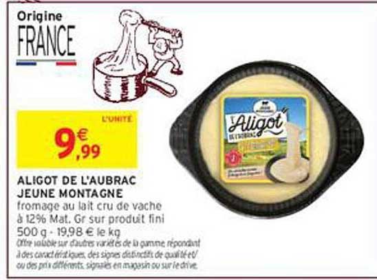 ALIGOT DE L'AUBRAC JEUNE MONTAGNE