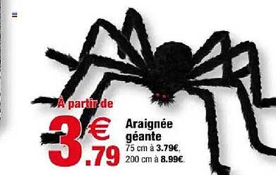 Araignée géante