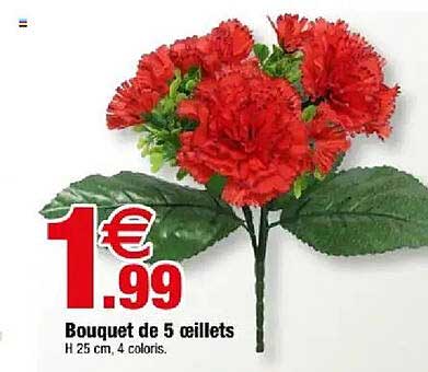 Bouquet de 5 œillets