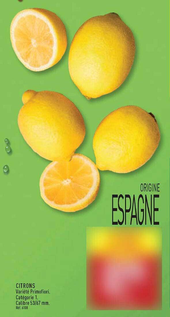 CITRONS Variété Primofiori. Catégorie 1. Calibre 53/67 mm. Ref. 6108